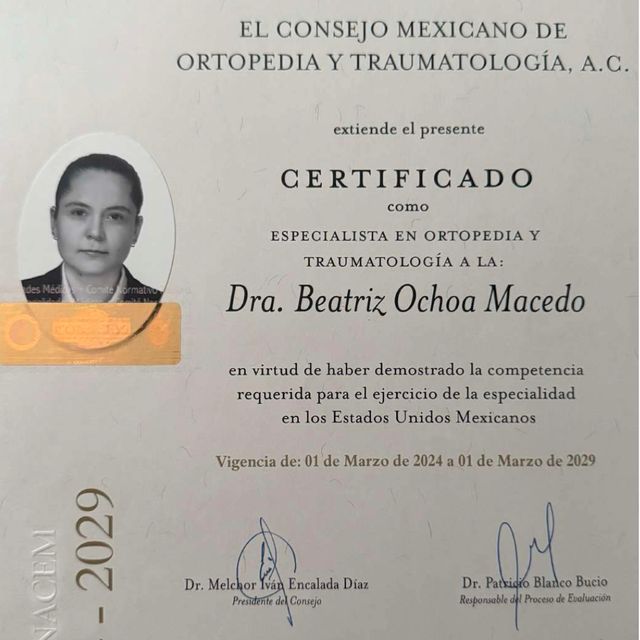 Ampliar imagen: certificate 1