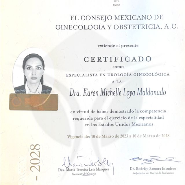 Ampliar imagen: certificate 1