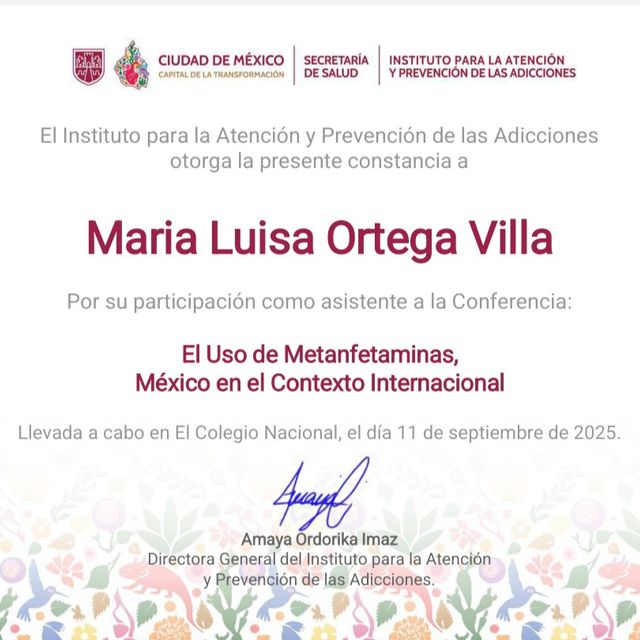 Ampliar imagen: certificate 8