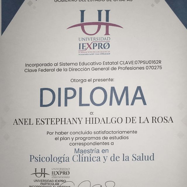 Ampliar imagen: certificate 15