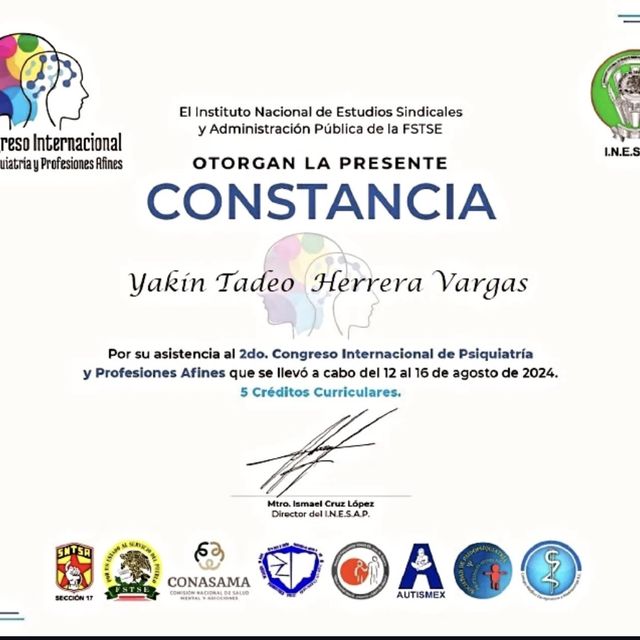 Ampliar imagen: certificate 4