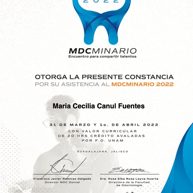 Ampliar imagen: certificate 6