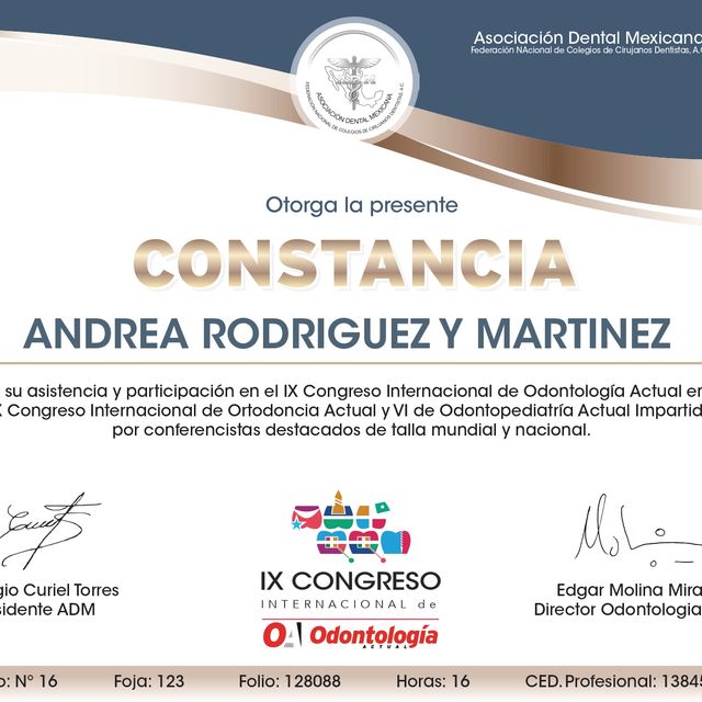 Ampliar imagen: certificate 3