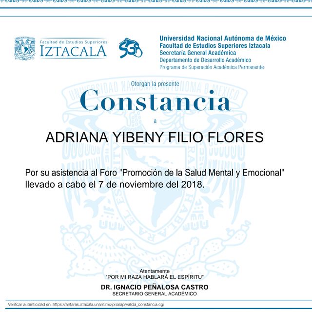 Ampliar imagen: certificate 4
