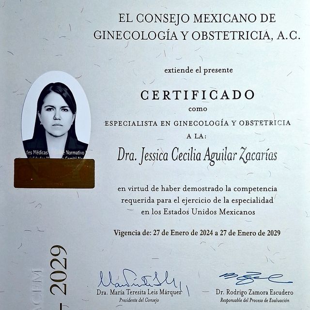 Ampliar imagen: certificate 2