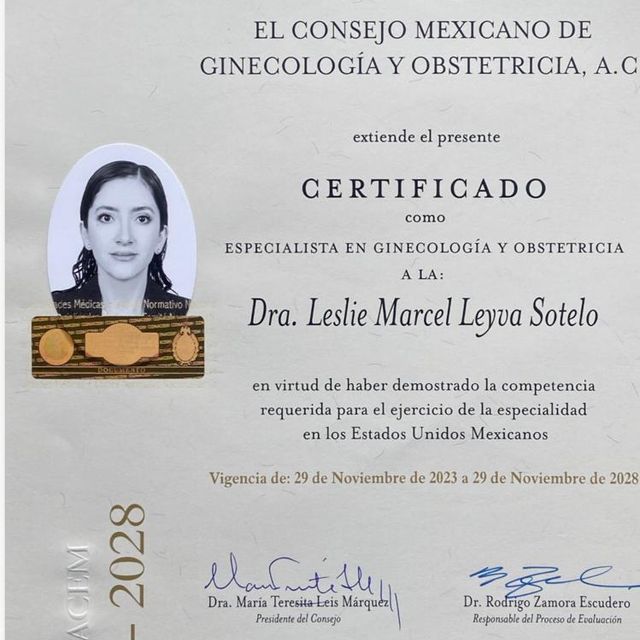 Ampliar imagen: certificate 1