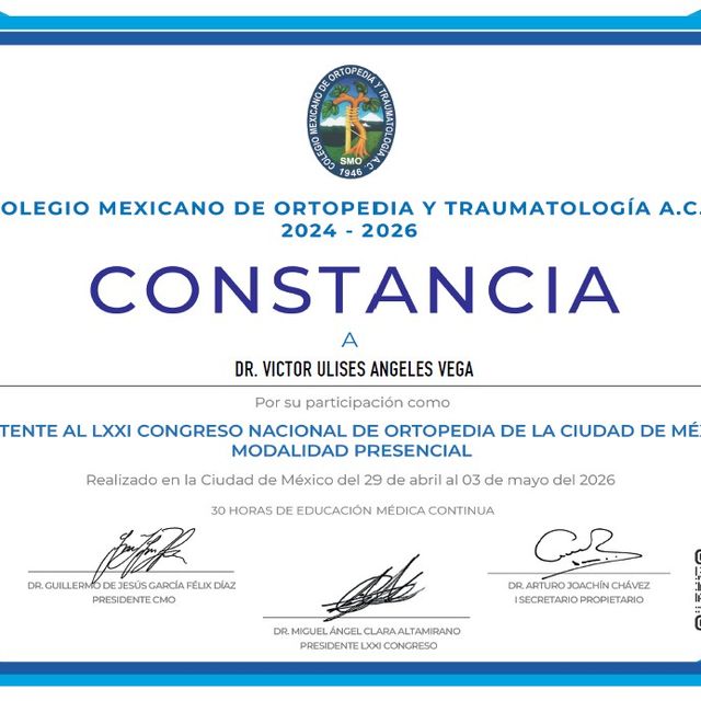 Ampliar imagen: certificate 1