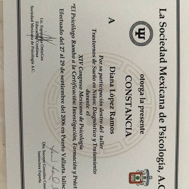 Ampliar imagen: certificate 5