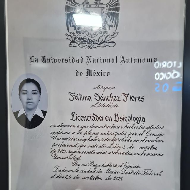 Ampliar imagen: certificate 1