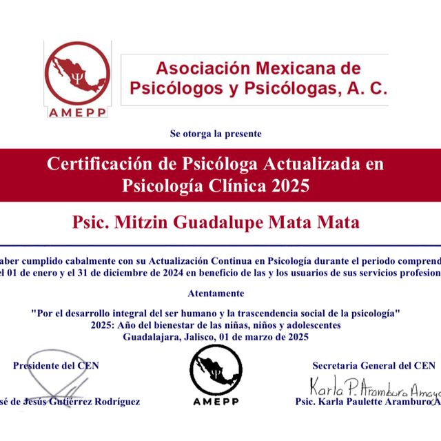 Ampliar imagen: certificate 2