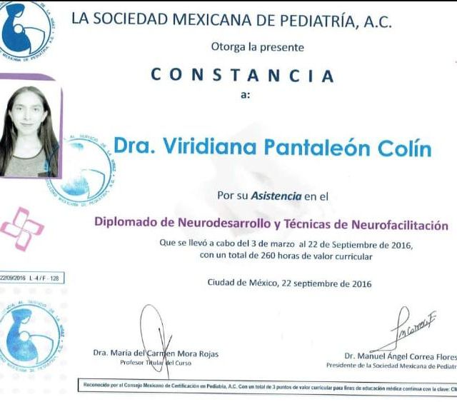 Ampliar imagen: certificate 3