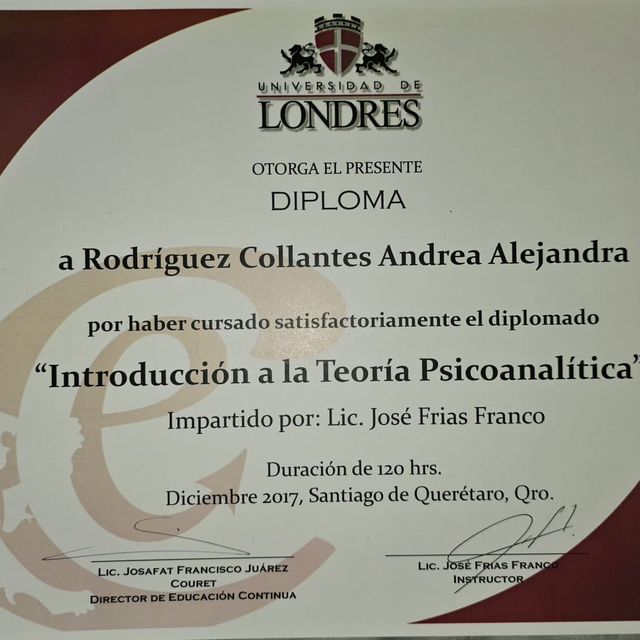 Ampliar imagen: certificate 4