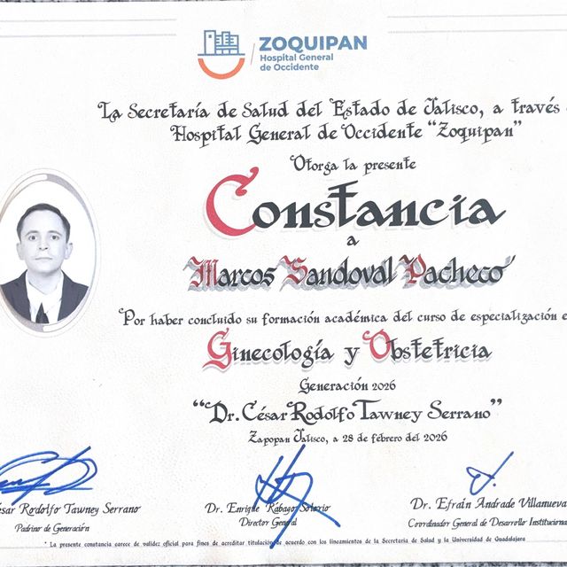 Ampliar imagen: certificate 6