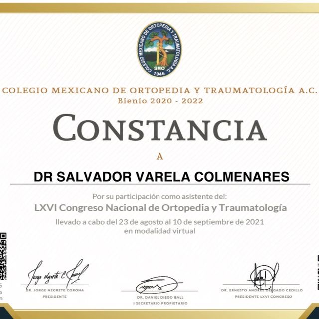 Ampliar imagen: certificate 26