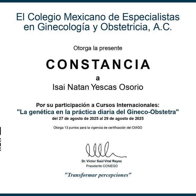 Ampliar imagen: certificate 5