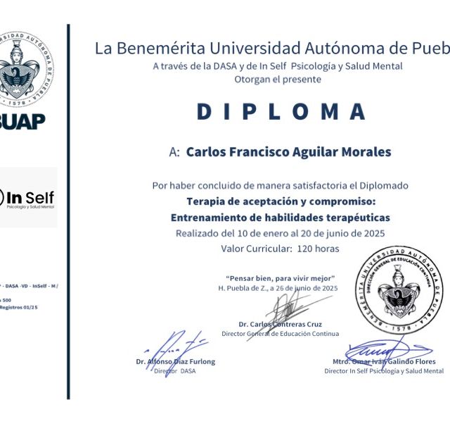 Ampliar imagen: certificate 1