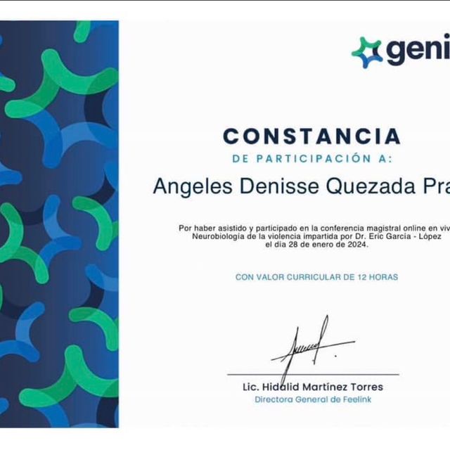 Ampliar imagen: certificate 6
