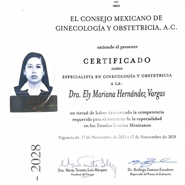 Ampliar imagen: certificate 1