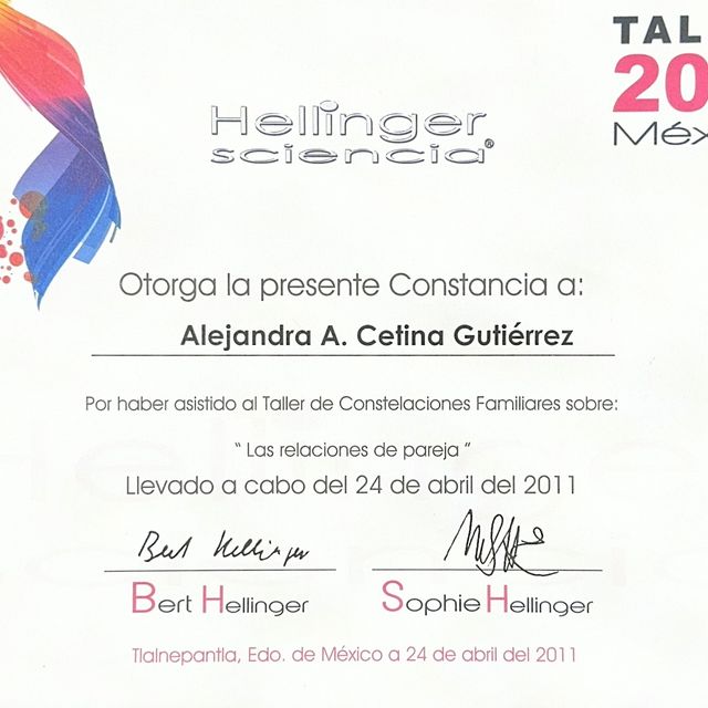 Ampliar imagen: certificate 5
