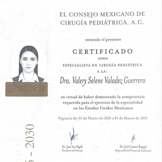 Ampliar imagen: certificate 1