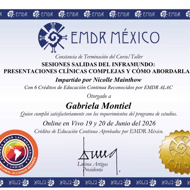 Ampliar imagen: certificate 25