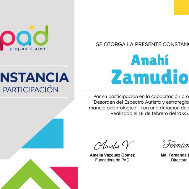 Ampliar imagen: certificate 1