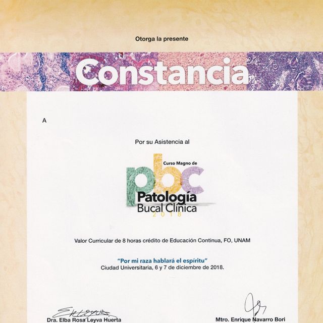 Ampliar imagen: certificate 2