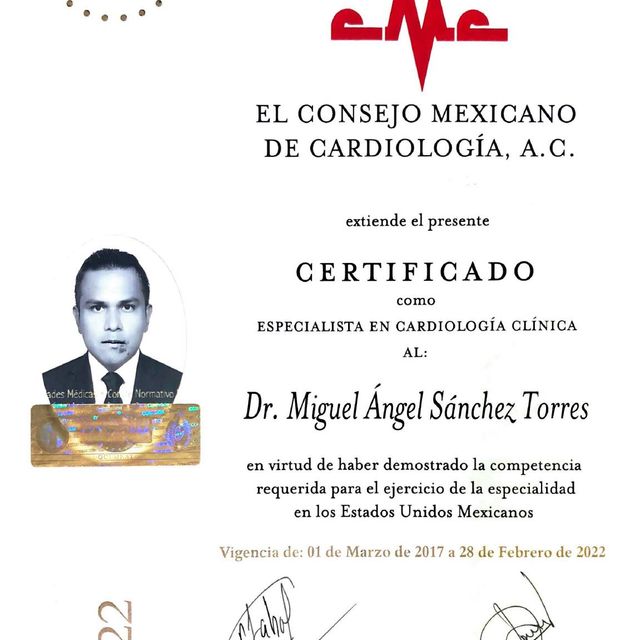 Ampliar imagen: certificate 3
