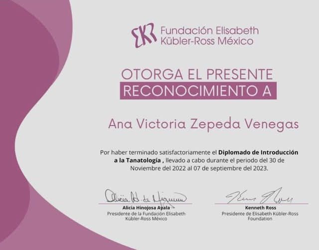 Ampliar imagen: certificate 2