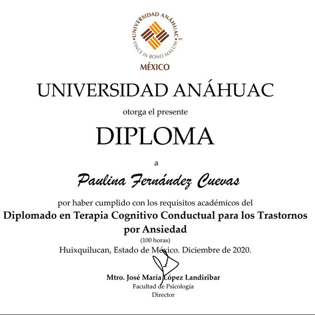Ampliar imagen: certificate 1