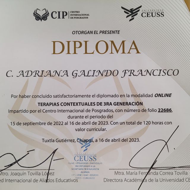 Ampliar imagen: certificate 3