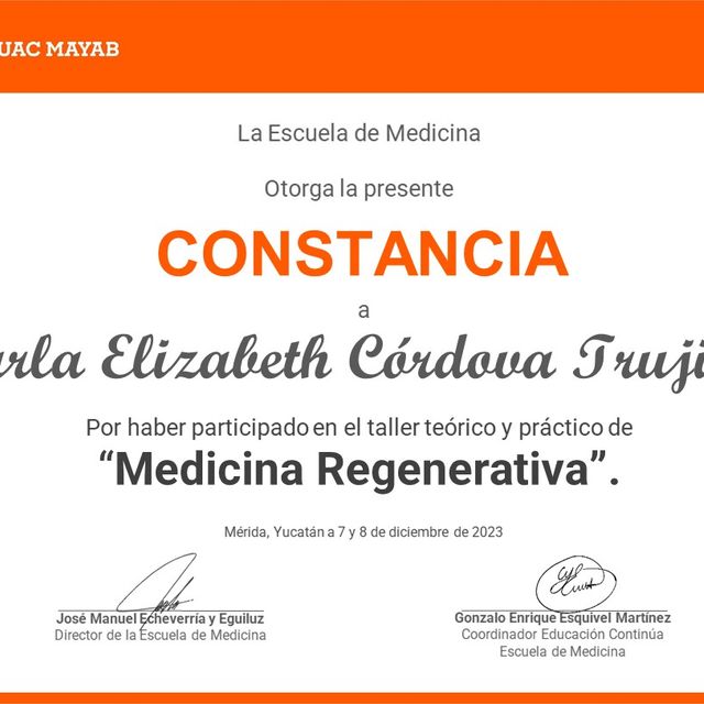Ampliar imagen: certificate 10