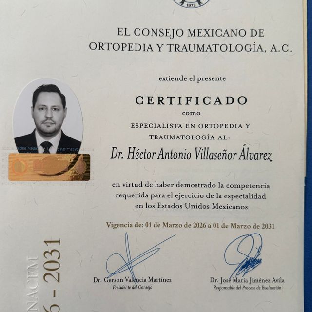 Ampliar imagen: certificate 1