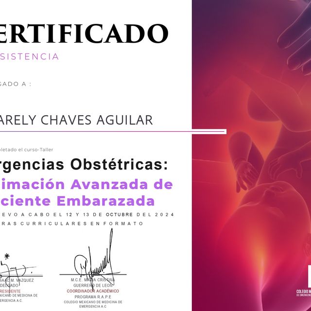 Ampliar imagen: certificate 5