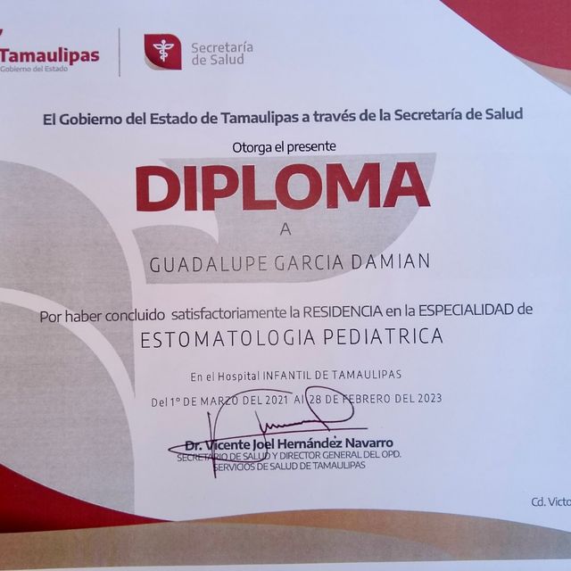 Ampliar imagen: certificate 6