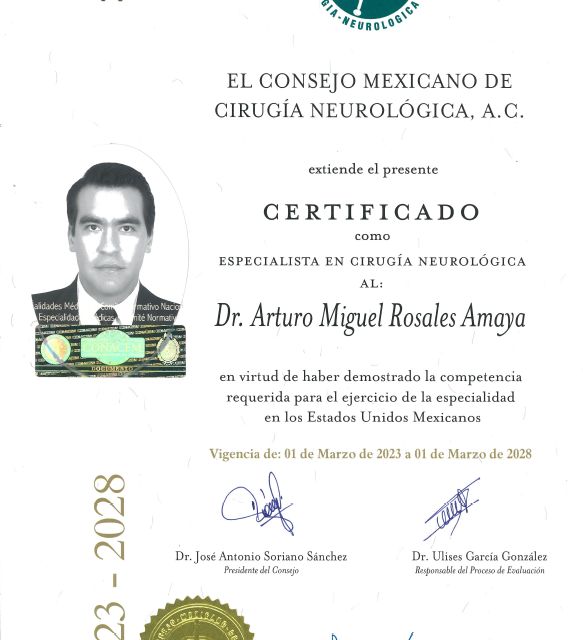 Ampliar imagen: certificate 1