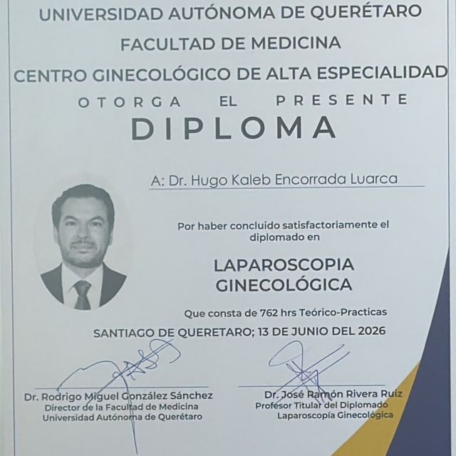 Ampliar imagen: certificate 2