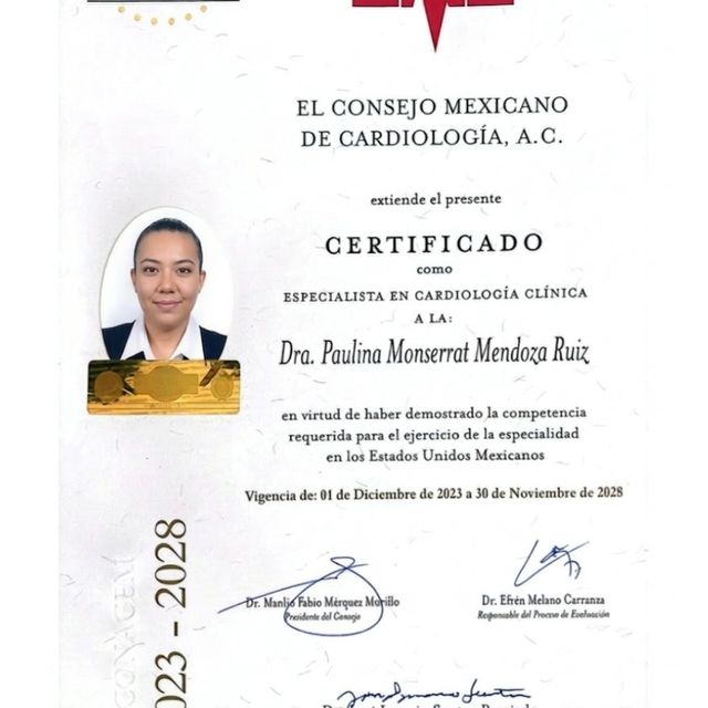 Ampliar imagen: certificate 5