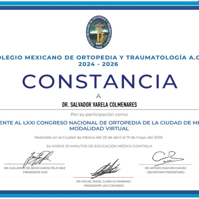 Ampliar imagen: certificate 14