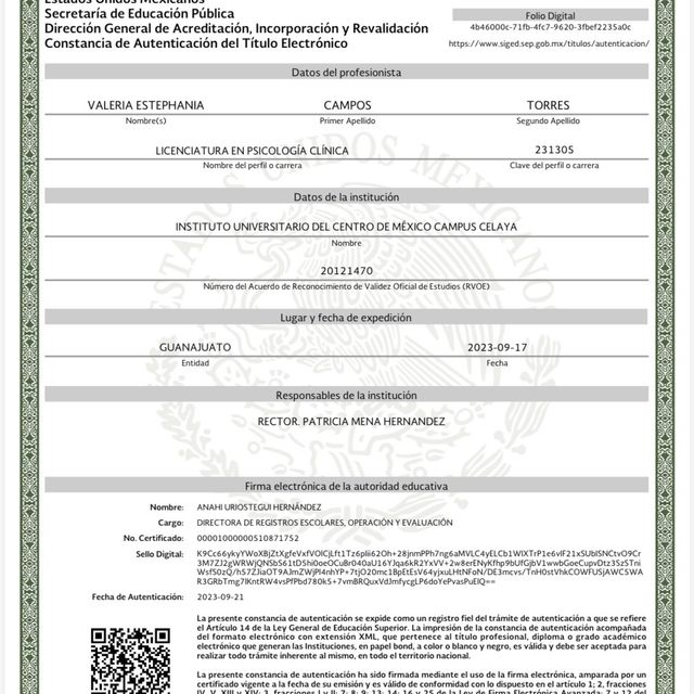 Ampliar imagen: certificate 1