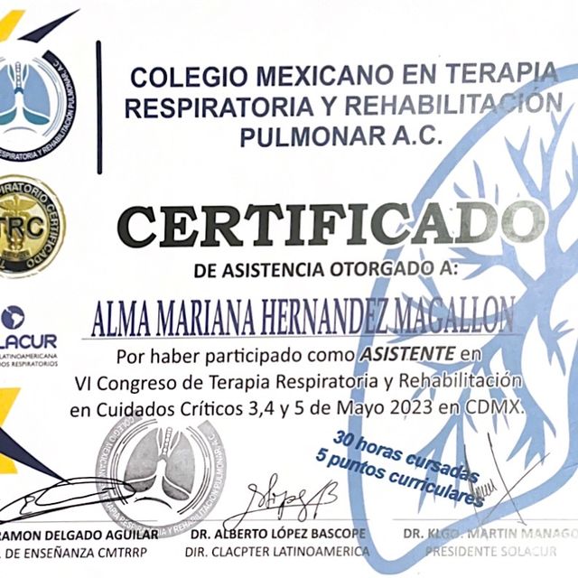 Ampliar imagen: certificate 4