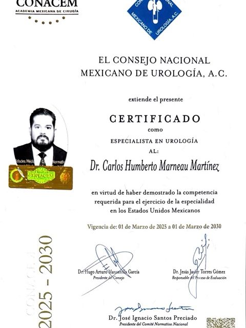 Ampliar imagen: certificate 5
