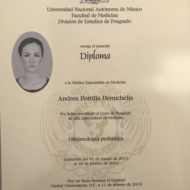 Ampliar imagen: certificate 1