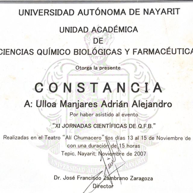 Ampliar imagen: certificate 3