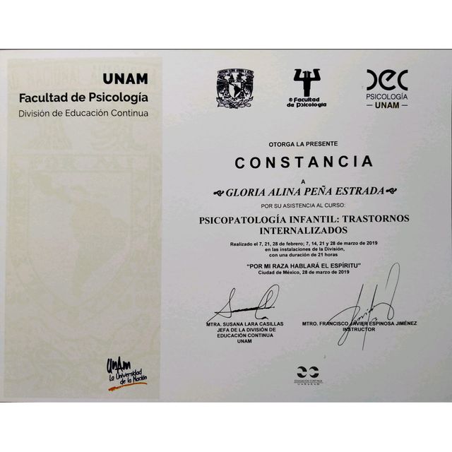 Ampliar imagen: certificate 17