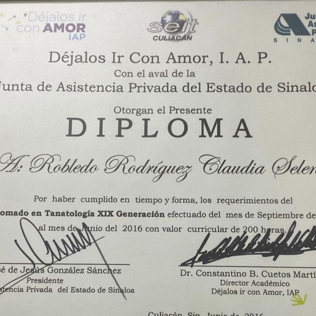Ampliar imagen: certificate 3