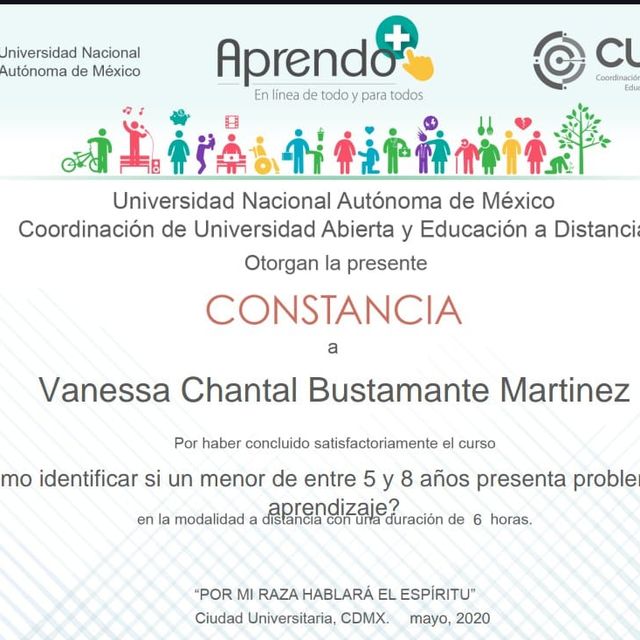 Ampliar imagen: certificate 2