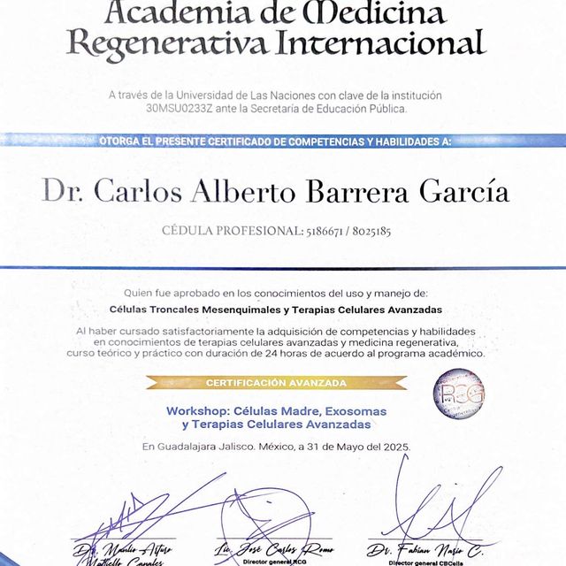Ampliar imagen: certificate 8