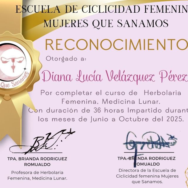 Ampliar imagen: certificate 4