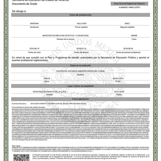 Ampliar imagen: certificate 2